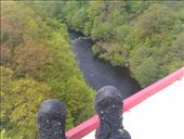 by hannah_white, Views[170]