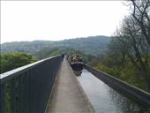 by hannah_white, Views[175]