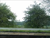 by hannah_white, Views[173]