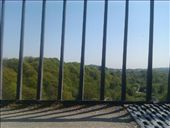 by hannah_white, Views[292]