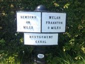 by hannah_white, Views[209]