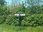 by hannah_white, Views[163]