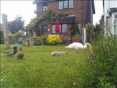 by hannah_white, Views[183]