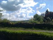 by hannah_white, Views[173]