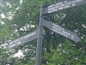 by hannah_white, Views[174]