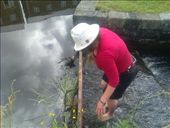 by hannah_white, Views[203]