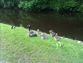 by hannah_white, Views[197]