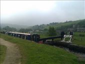 by hannah_white, Views[166]