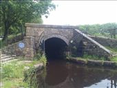 by hannah_white, Views[159]