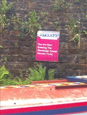 by hannah_white, Views[150]