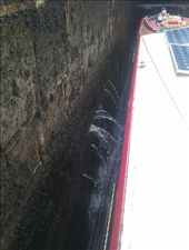 by hannah_white, Views[151]