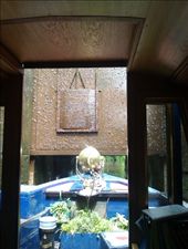 by hannah_white, Views[159]