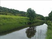 by hannah_white, Views[165]