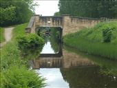 by hannah_white, Views[383]