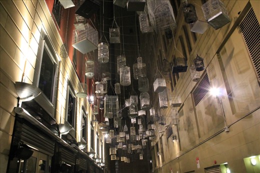 At this place, we can hear many kinds of bird voices. *sigh*