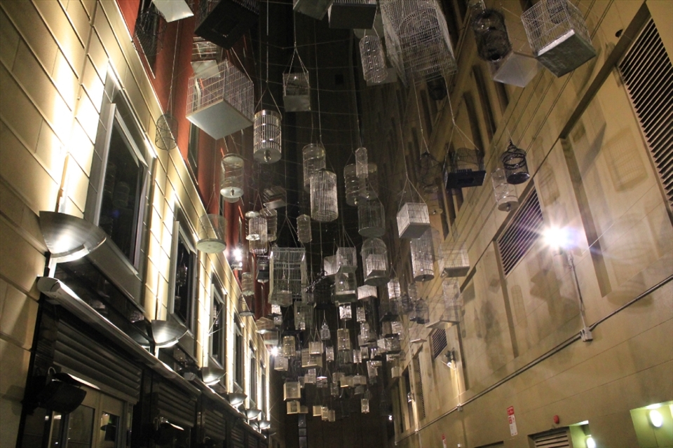 At this place, we can hear many kinds of bird voices. *sigh*