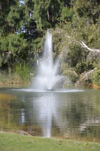 Government House gardens