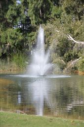 Government House gardens: by hannahhackett, Views[236]