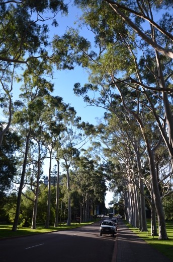 Kings Park