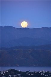 Super-moon over Wellington: by hannahhackett, Views[235]