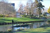 Punting - which city are we in again??: by hannahhackett, Views[215]