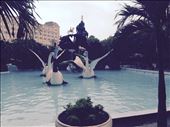 Enormous outdoor swimming pool with naturally heated water ;-): by hannap, Views[195]