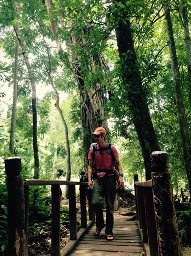 Lush forest around the Khouang Si Waterfall (and a very happy Christopher).
