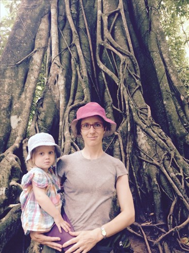 Enormous trees form a beautiful canopy over the path to the Khouang Si Waterfall.