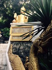 A Buddha on the way to the top of mount Phousi, downtown Luang Prabang. We learned that there are seven postures with meanings like meditation, touching the earth, contemplation, stop the flooding or the fighting.: by hannap, Views[271]