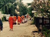 The monks slowly walk by around 5.30 in the morning and collect their alms for the day.: by hannap, Views[281]