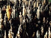 Many buddhas in the Pak Ou cave along the Mekong river. People come here to pay their respect during celebration of the New Year.: by hannap, Views[454]