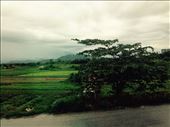 Rice fields  - a typical country side view of the north.: by hannap, Views[195]