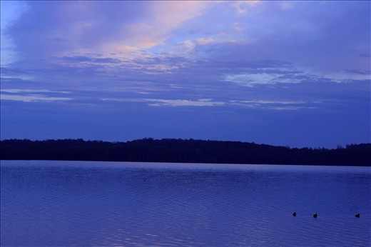 As the sun started to rise and it got lighter a team of ducks emerged. Even though they are not in the center of the picture I'm still drawn to them.