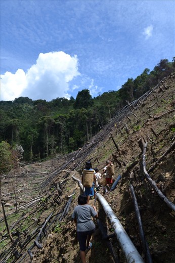 In the afternoon after school, the children went to the farm to collect firewood for stock. Its the main source of energy and important source of cooking fuel in Kg. Terian, one of the 9 village in Ulu Papar area situated in Sabah, Borneo. Everyone contribute to improve the household energy practices. As their parents always said, 'if lazy, stay hungry'.