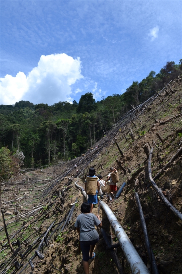 In the afternoon after school, the children went to the farm to collect firewood for stock. Its the main source of energy and important source of cooking fuel in Kg. Terian, one of the 9 village in Ulu Papar area situated in Sabah, Borneo. Everyone contribute to improve the household energy practices. As their parents always said, 'if lazy, stay hungry'.