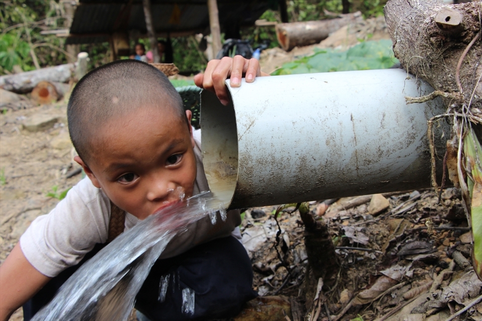 Sungasui felt thirsty after carrying loads of firewood on his backs. The water was fresh from the unpolluted river of Papar, in Sabah, Borneo. A river which will be affected by the proposed Kaiduan Dam. If built will displace 1400 of indigenous Dusun from the ancestral land. 