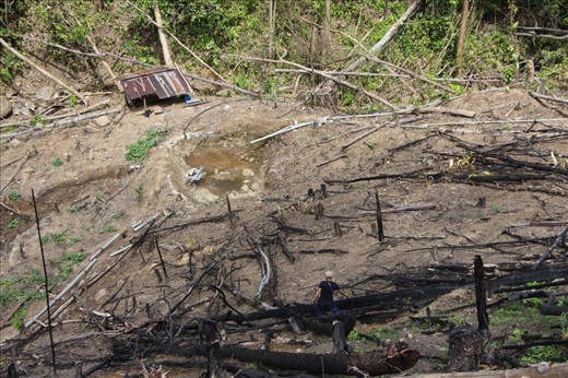 This is their office, where the indigenous Dusun people work for their livelihood. Swidden farming is a traditional method of sustaining many families in this community. However, they were always blamed that their practices is unsustainable and causing environmental degradation. The truth is they have rich knowledge of the ecosystem in the area and their agricultural skills could prove very helpful in the safe, sustainable use of slash and burn agriculture. This is actually solution to climate change.
