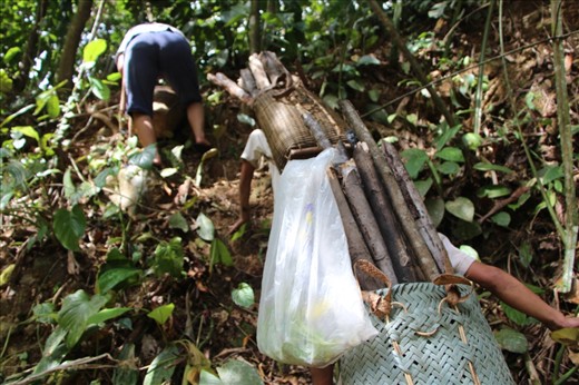 Job done for the day, and now children can relax and play in their big playground, the forest. They have a special bond with the land and forest, they provide everything they need – as long as they treat all things belonging to it with respect. A high quality of life as they see themselves as inseparably linked to the forest and everything in it. 