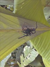 by happyfeet123, Views[185]