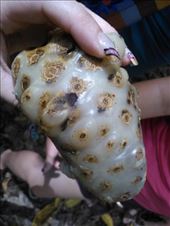 by happyfeet123, Views[185]