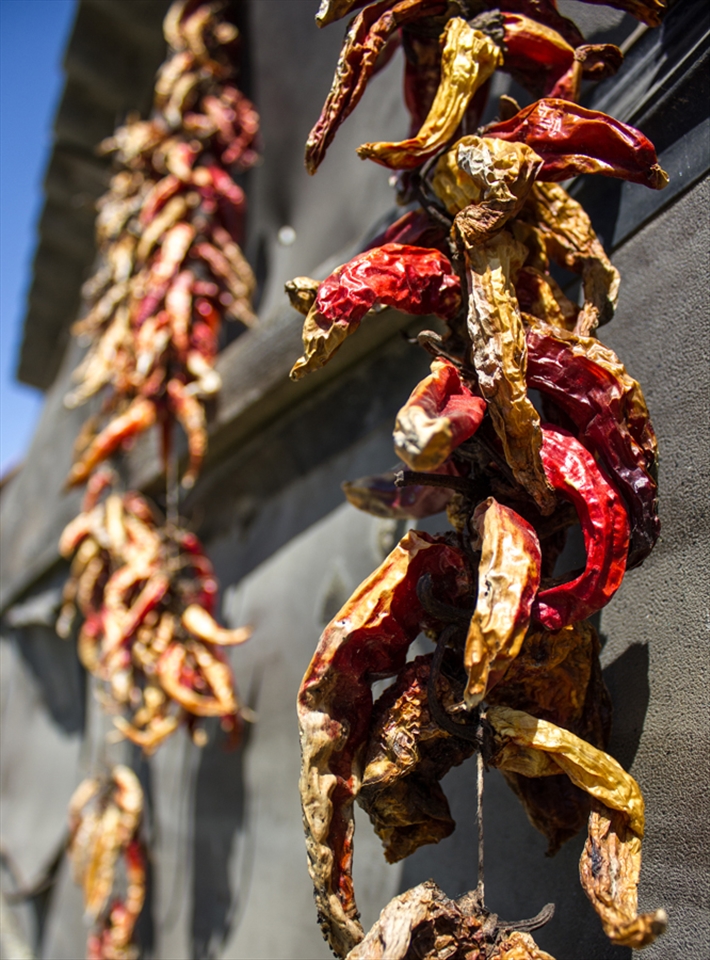 Hungarian Paprika at drying time