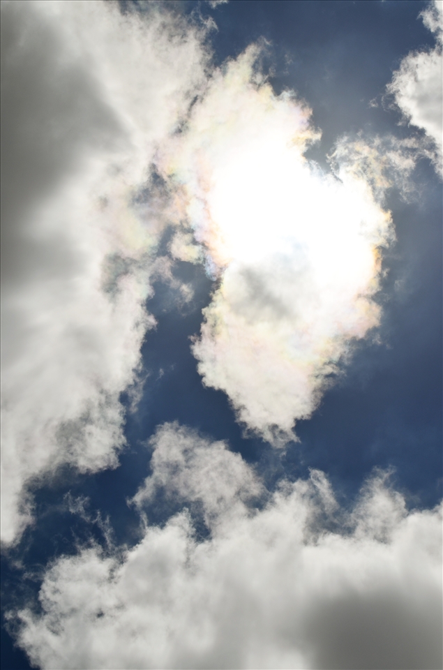 To my wonderful wonderland - Aotearoa - The land of the long white cloud.