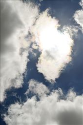 To my wonderful wonderland - Aotearoa - The land of the long white cloud.: by hari, Views[238]