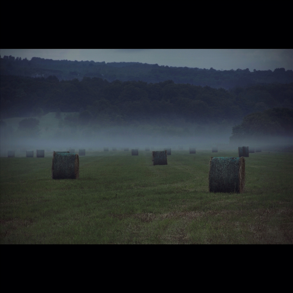Agricultural graveyard.