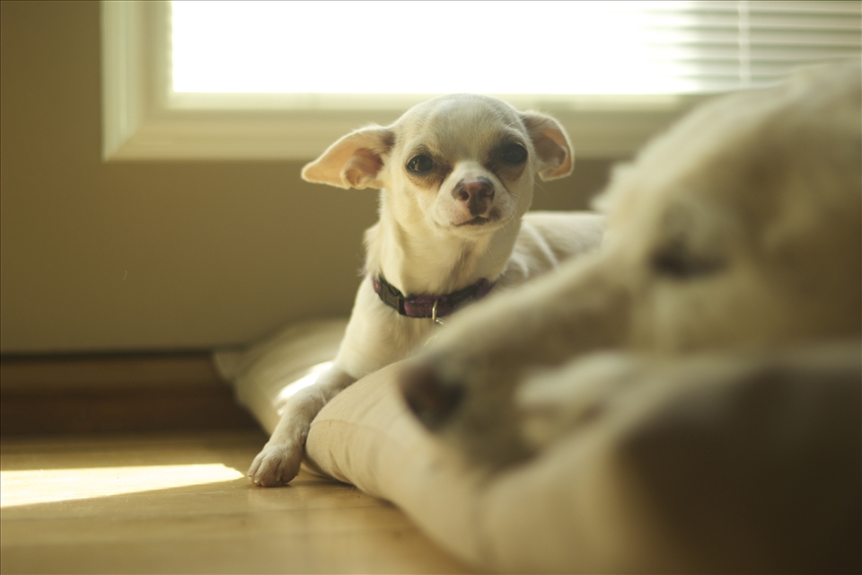 Hanging out with her pal.