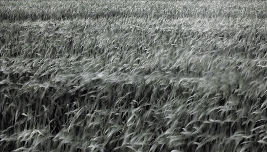 Blustery Spring weather