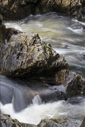 by harrisonjj, Views[186]