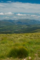 by harrisonjj, Views[160]