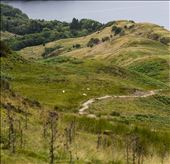 by harrisonjj, Views[224]