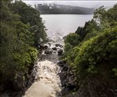 by harrisonjj, Views[185]